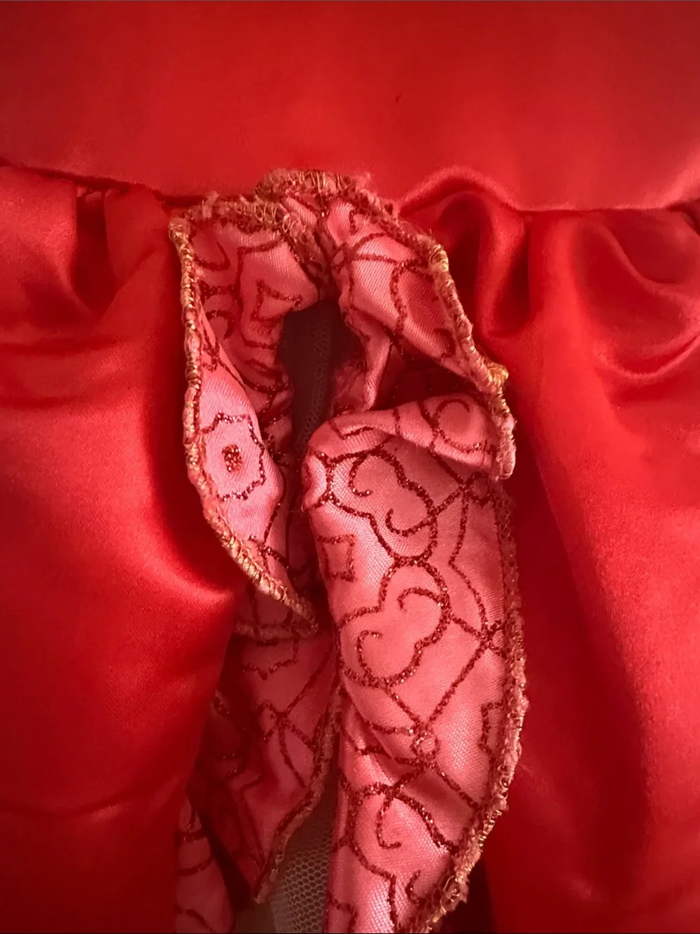 Disney Elena of Avalor Red and Pink Floral Ruffle Costume Dress